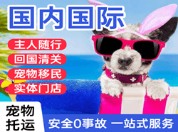 海口航空空运国际宠物托运 【国